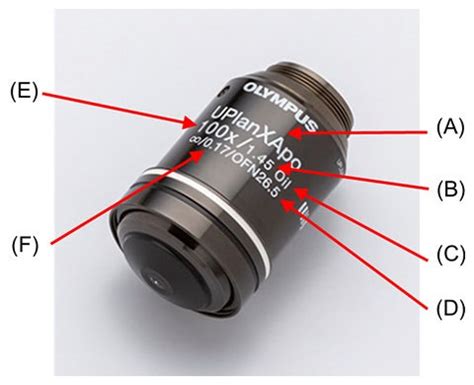 objective lenses names|How to Read Microscope Objective Specifications at a Glance.